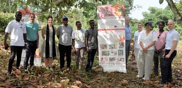 The European Union visits the Cocoa4Future project site of Azaguié